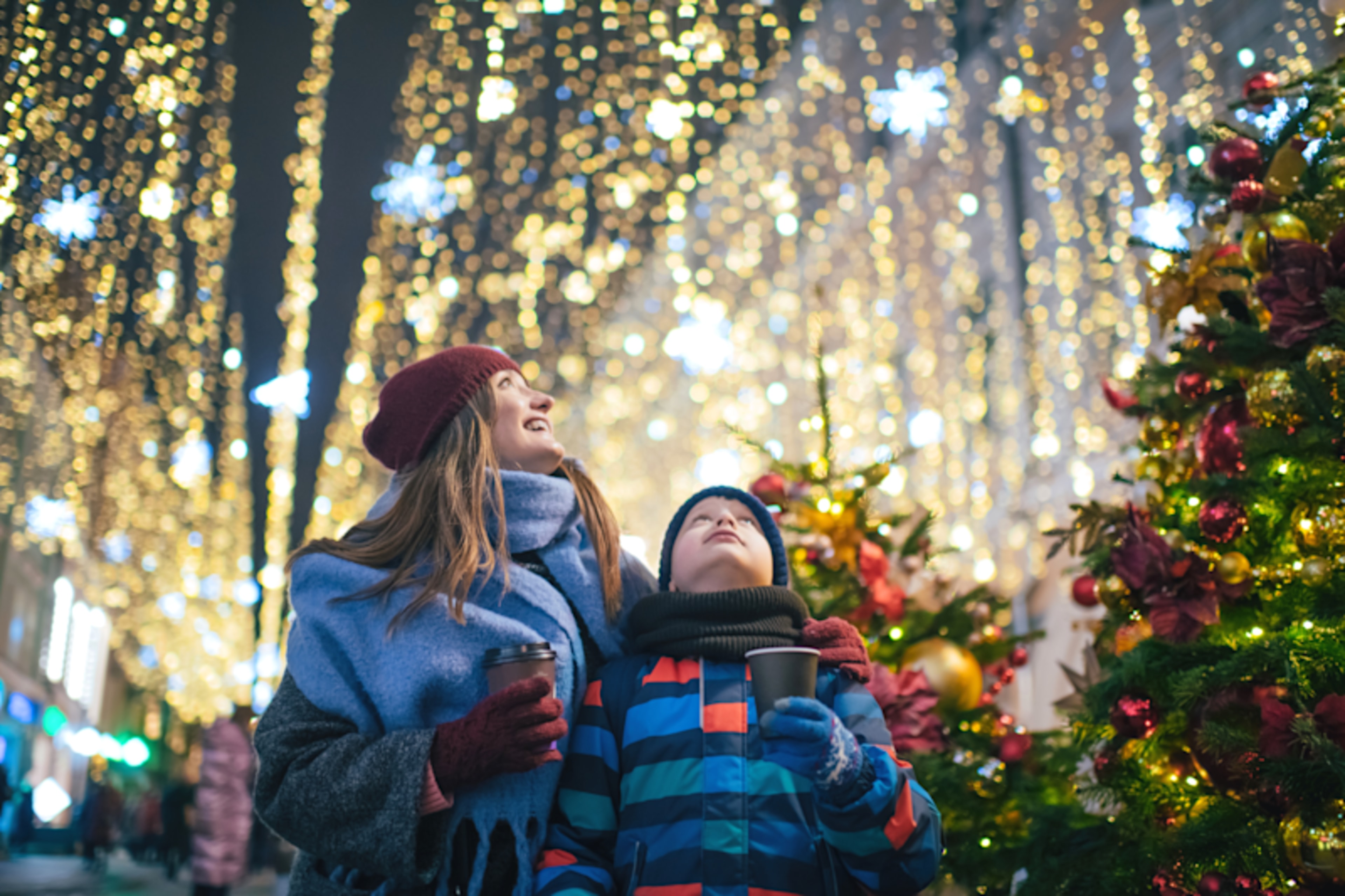 Family Holiday: Best German Christmas Markets & Castles