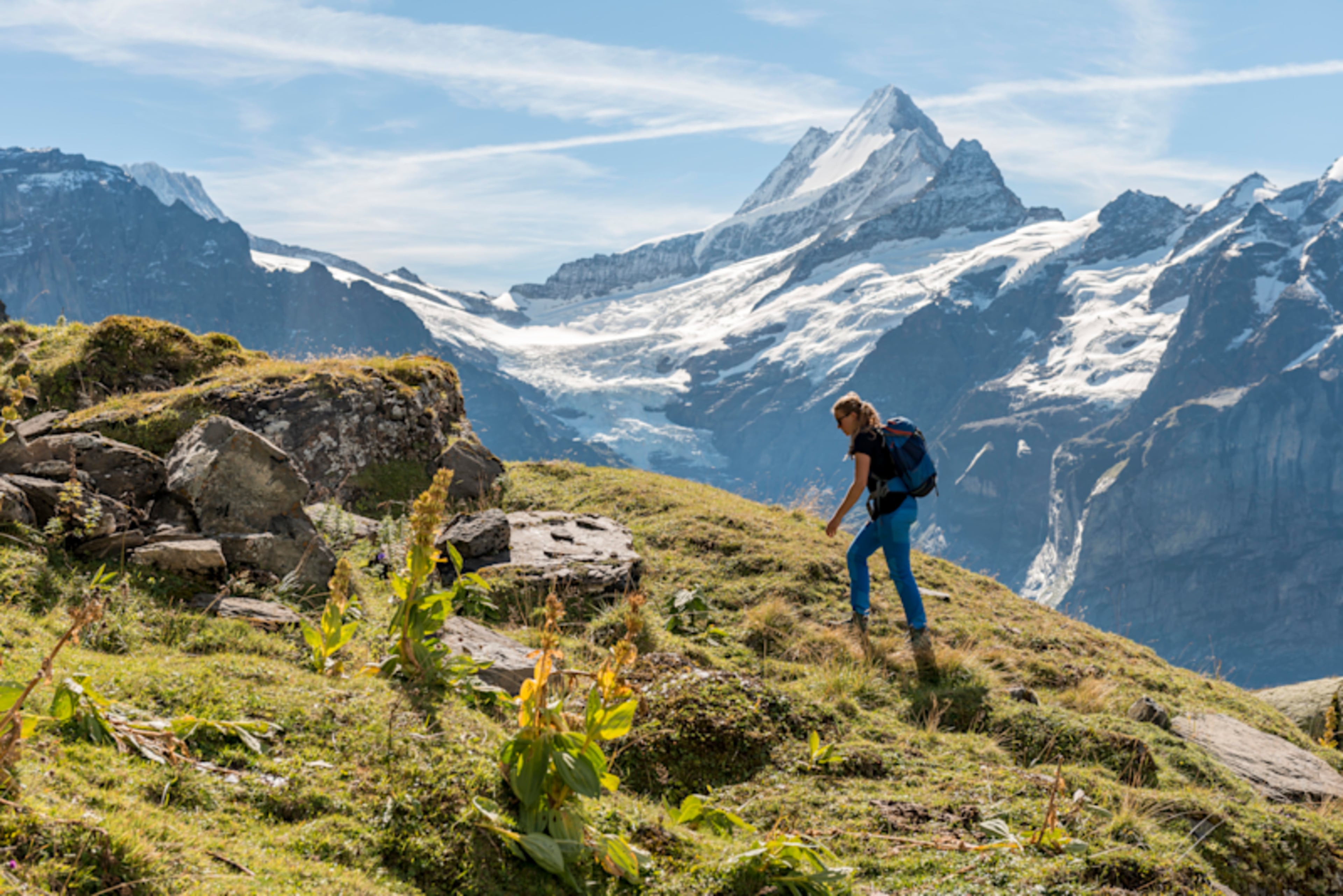 Active Swiss Alps