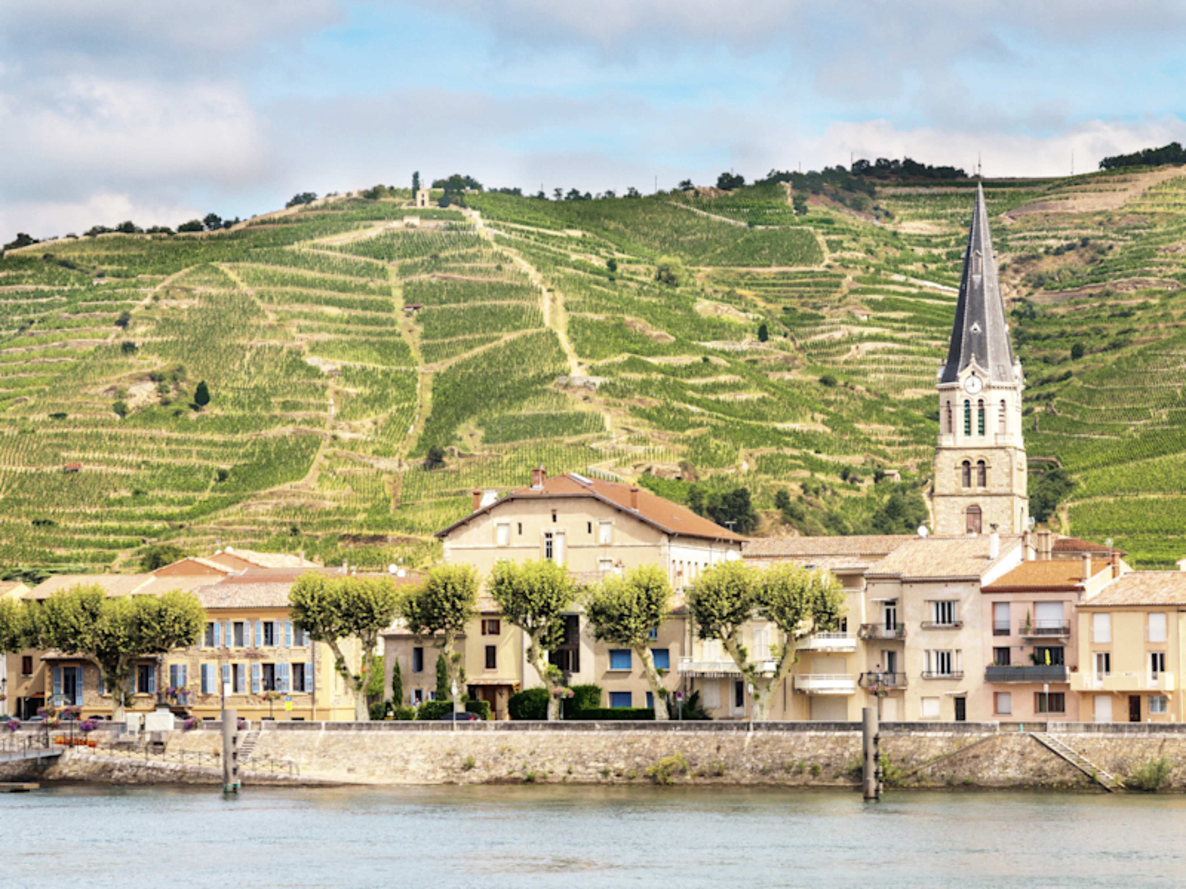 Burgundy & Provence along the Rhone