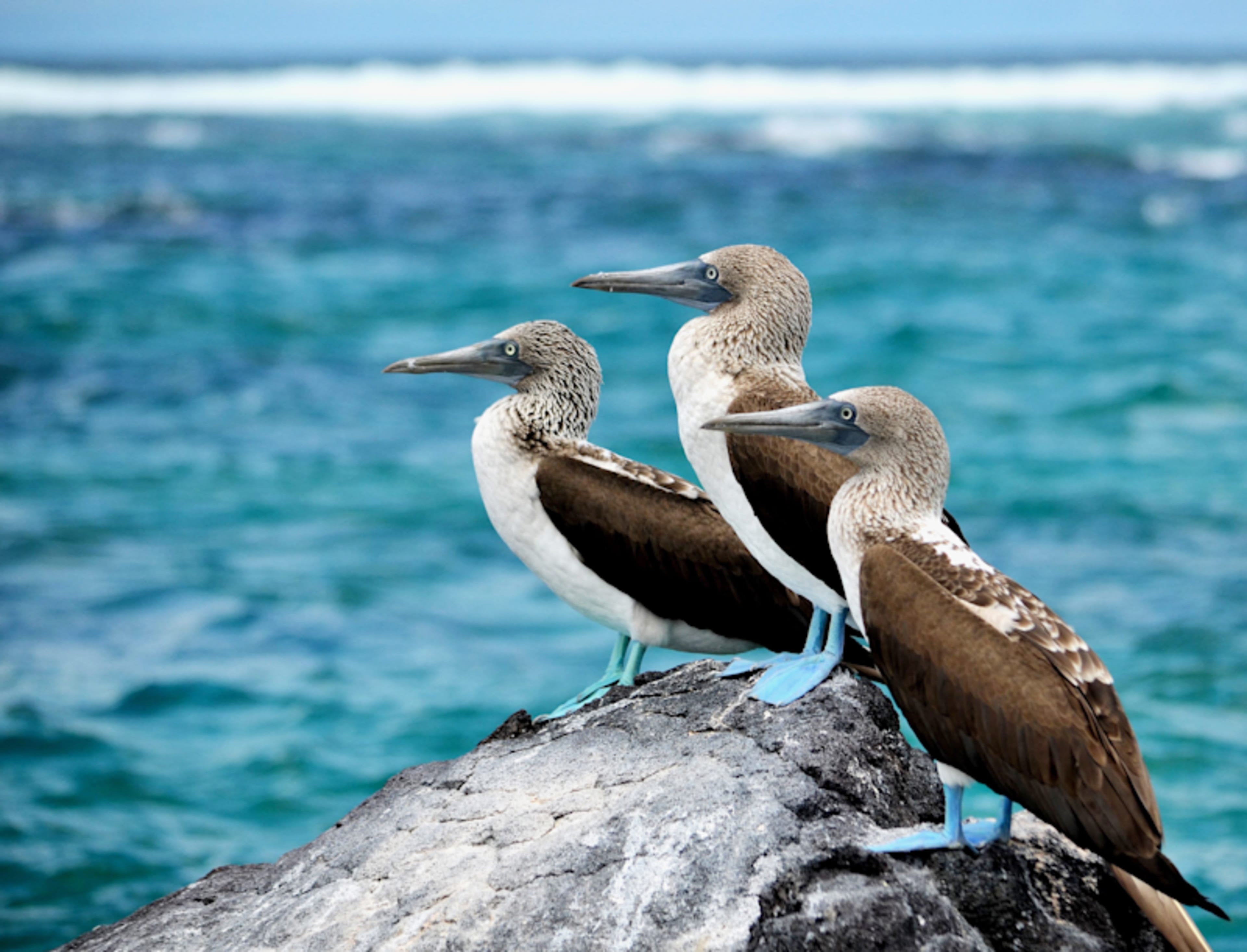 Galapagos 7-Day Land Based Adventure