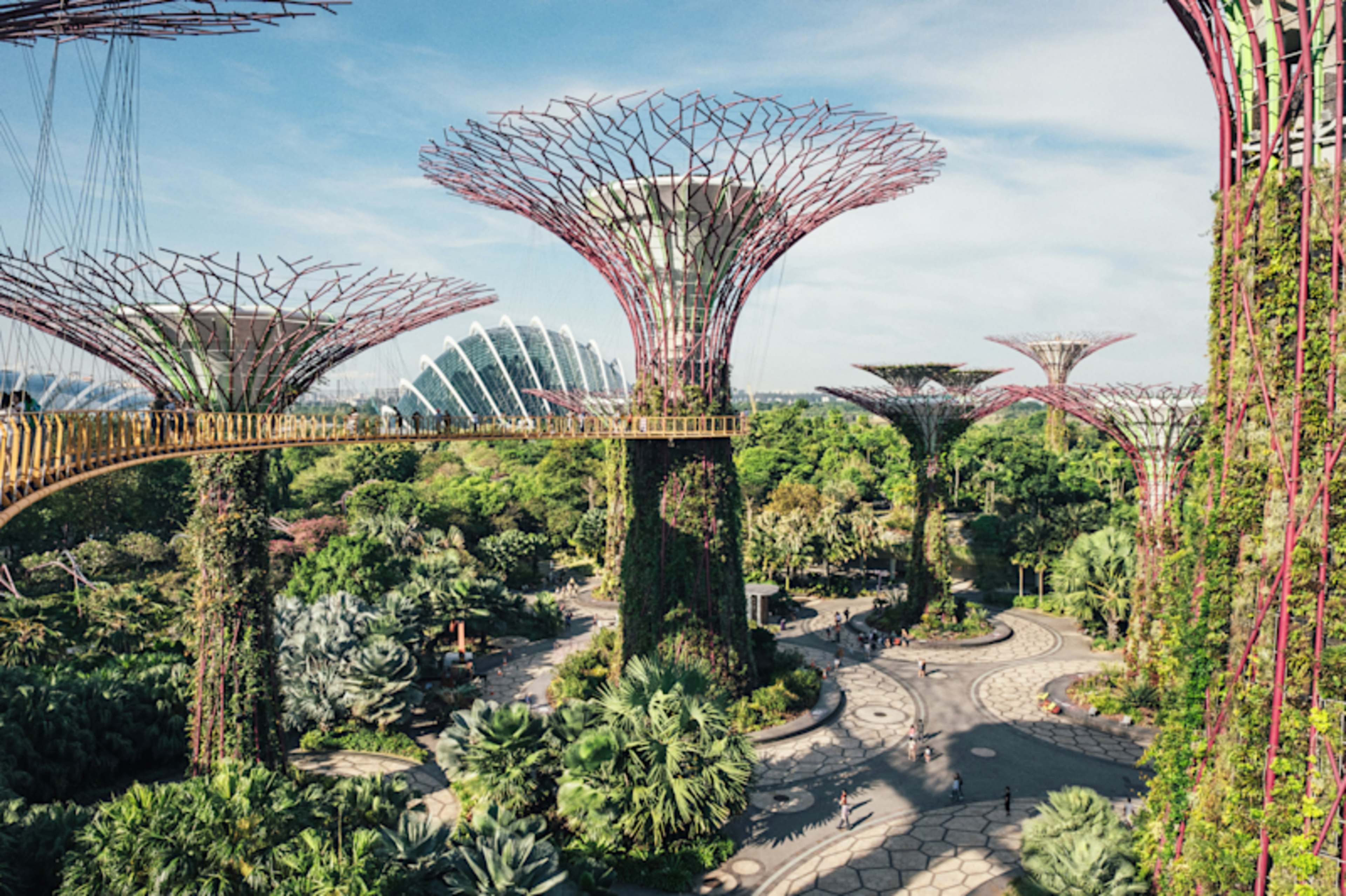 Singapore Highlights: City & Nature