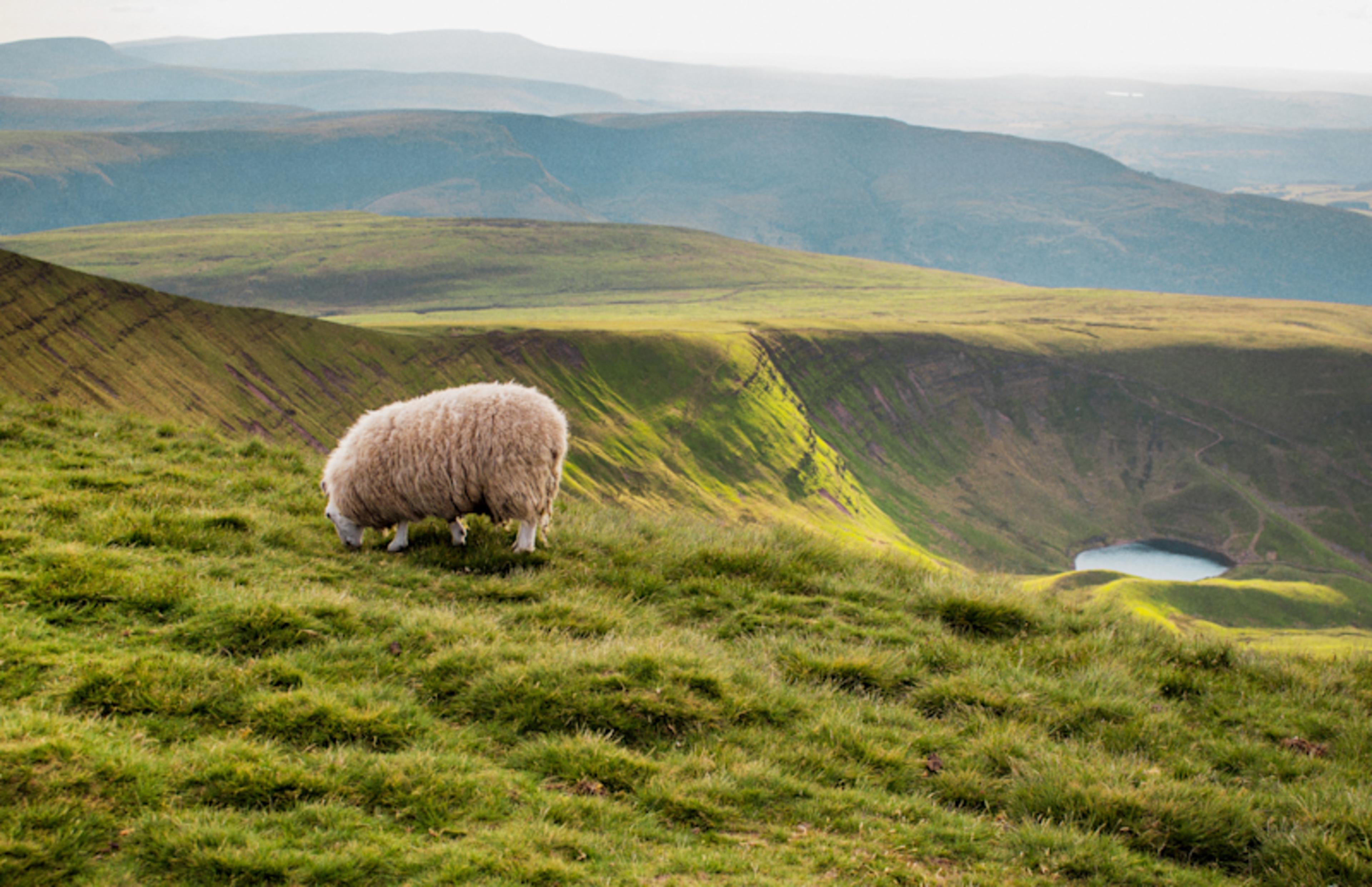 Picture Perfect: Cinematic England & Wales 