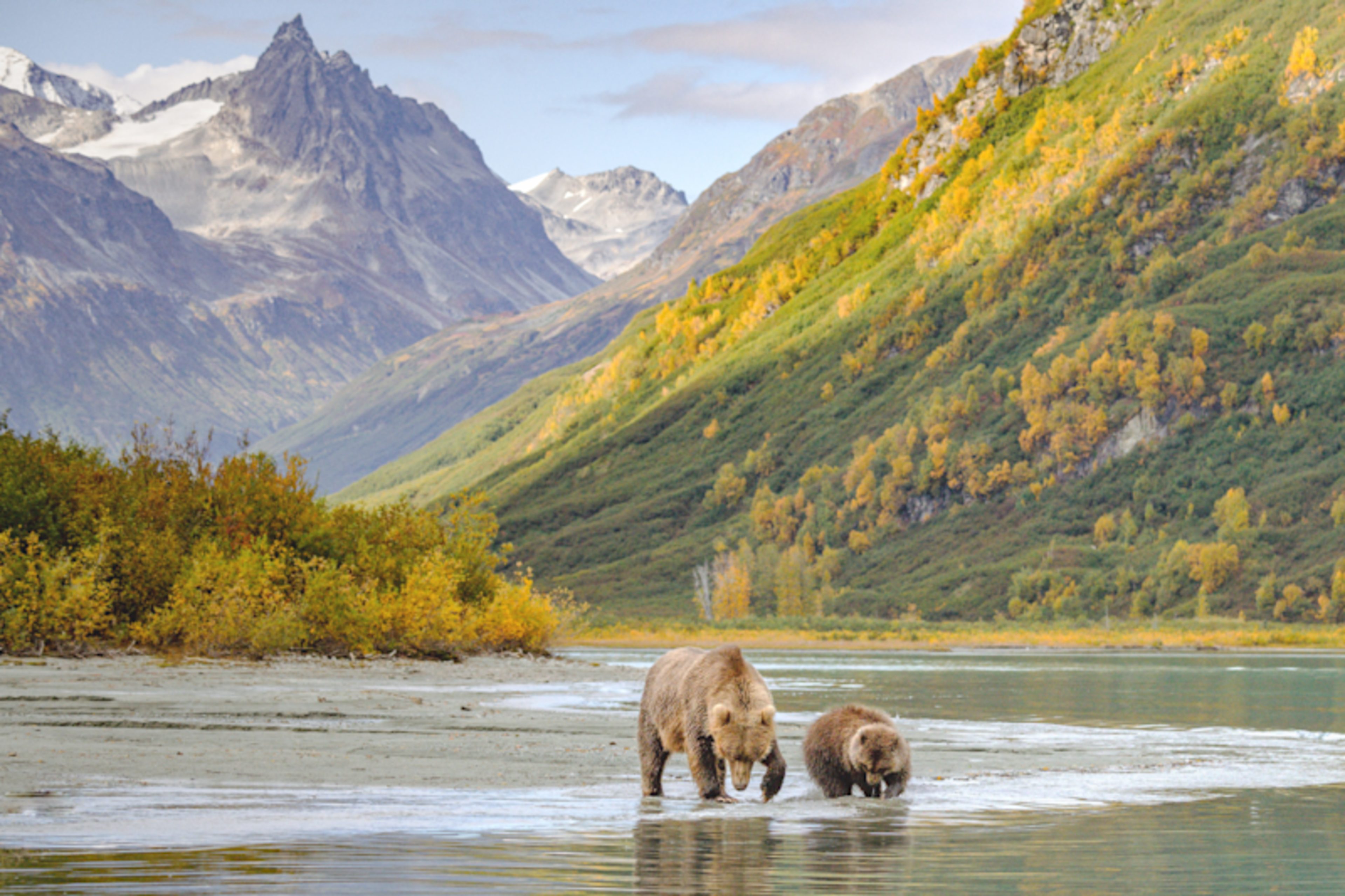 Alaska: Denali, Lakes & Glaciers