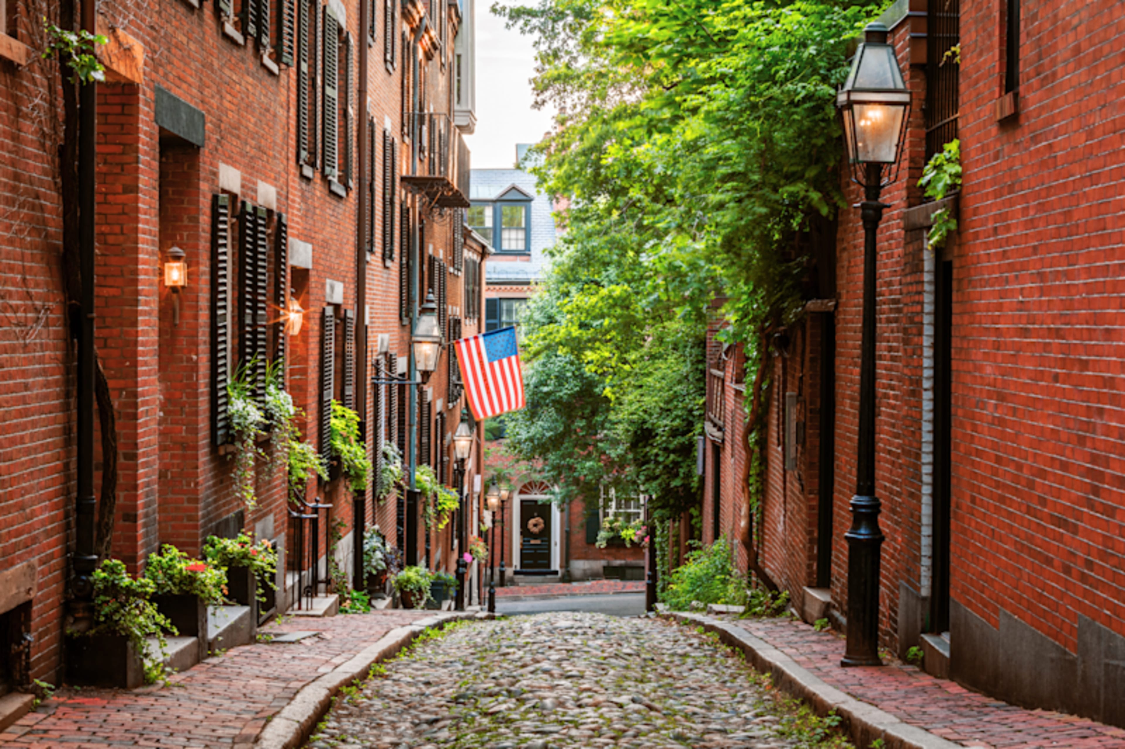 World Cup Thrills & Northeast Flavors