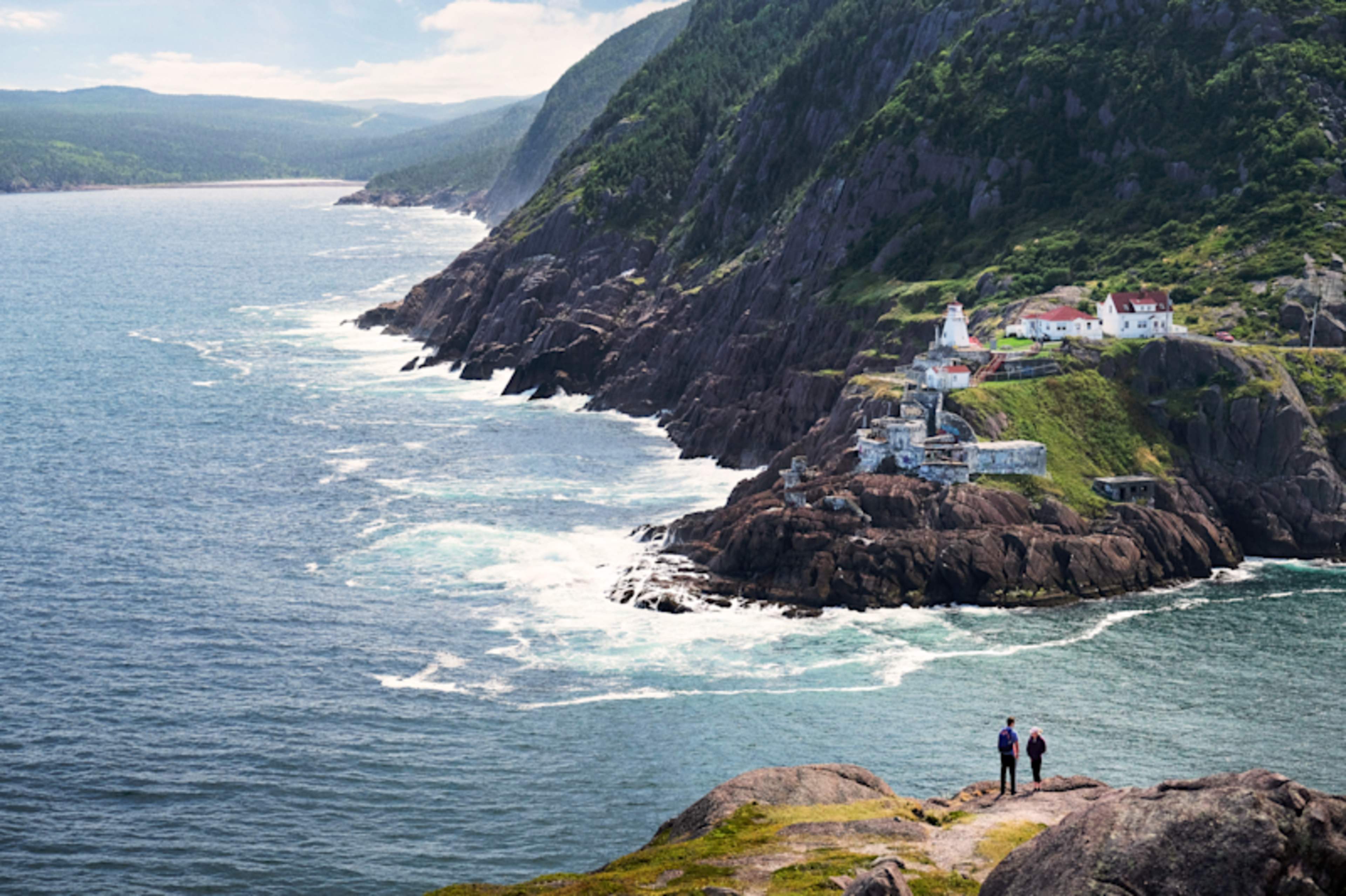 Essential Newfoundland