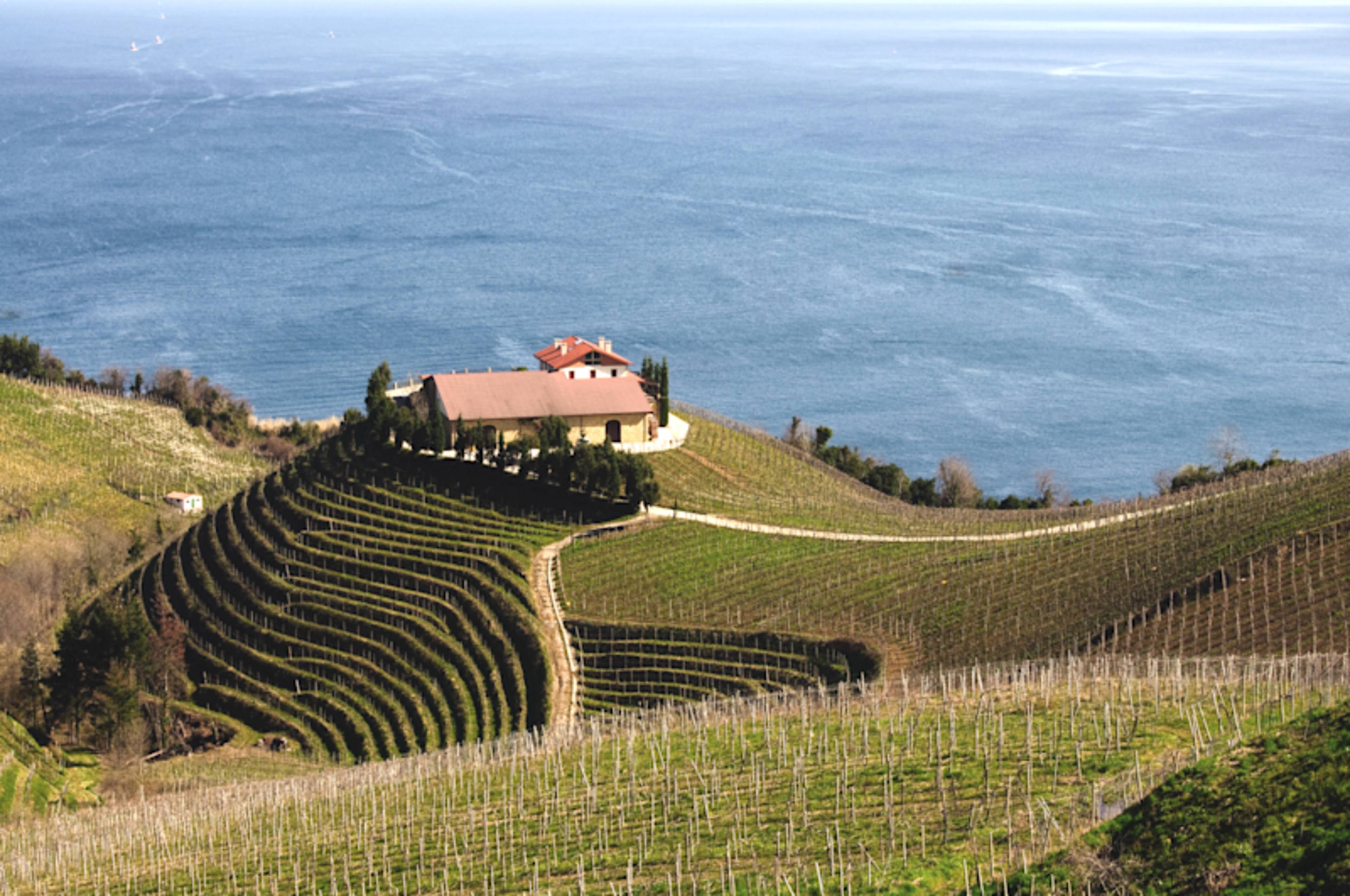 A Taste of Bordeaux & Basque Region