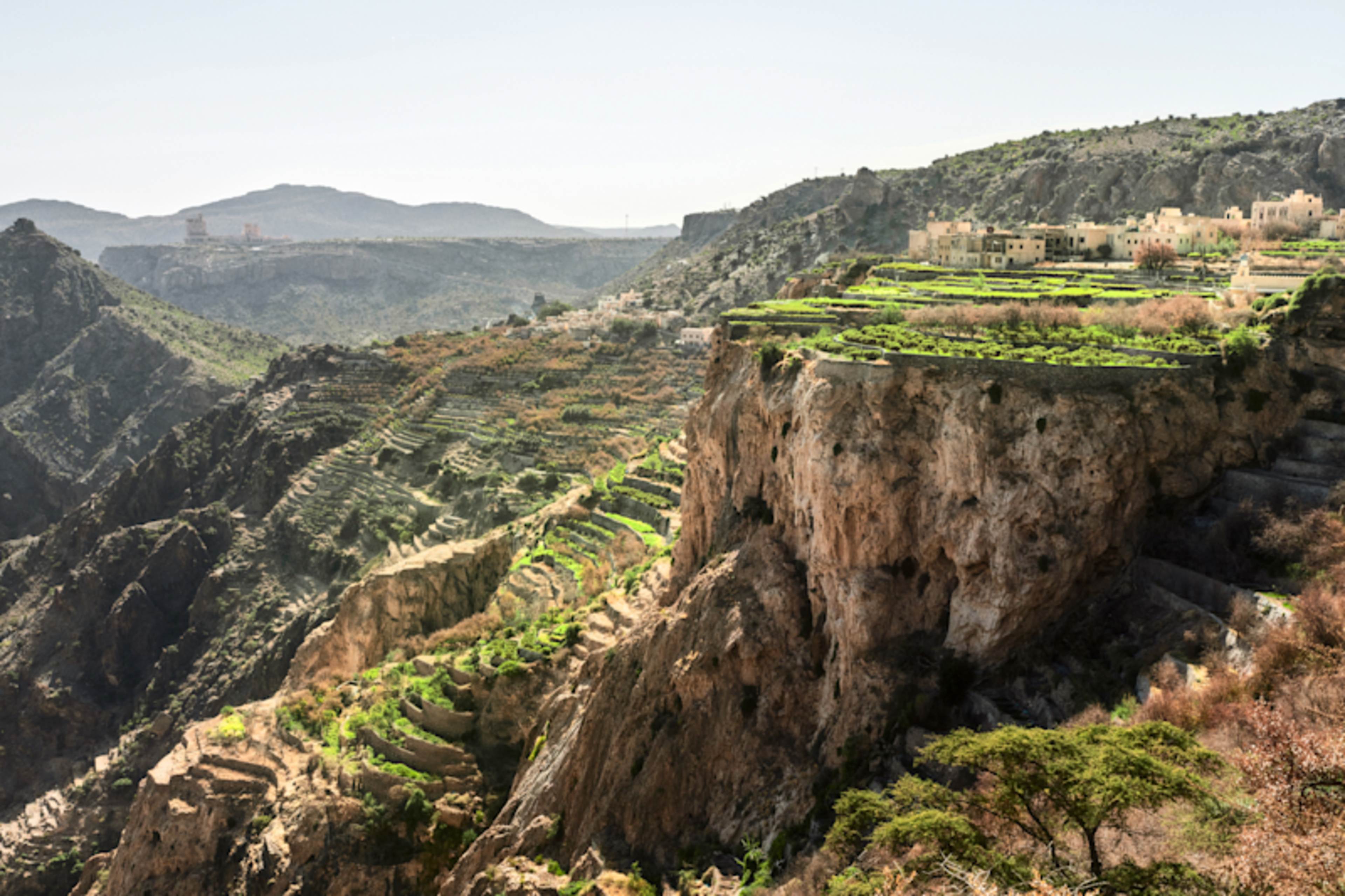 Oman in Depth