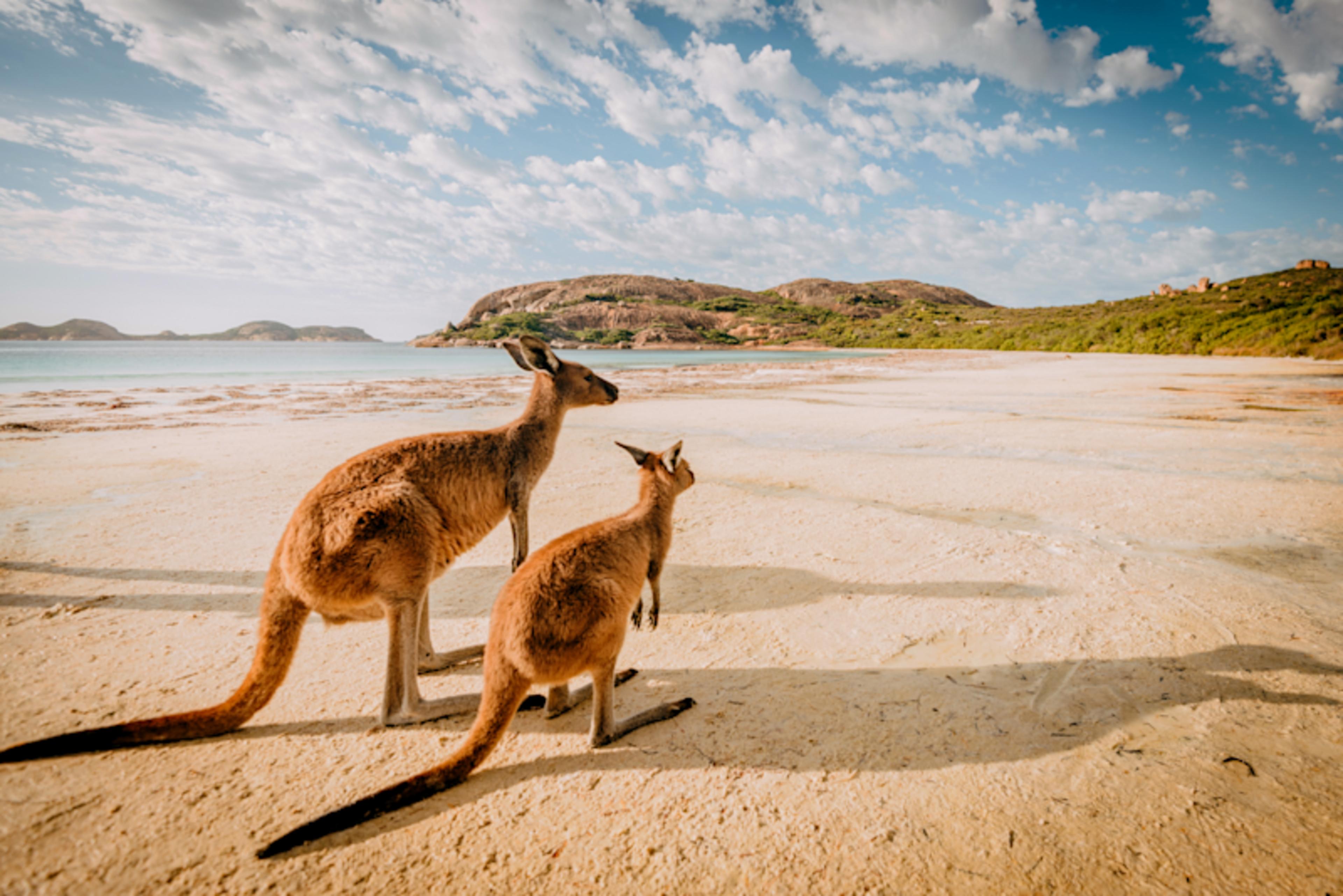 Australian Outback, Wine & Rail