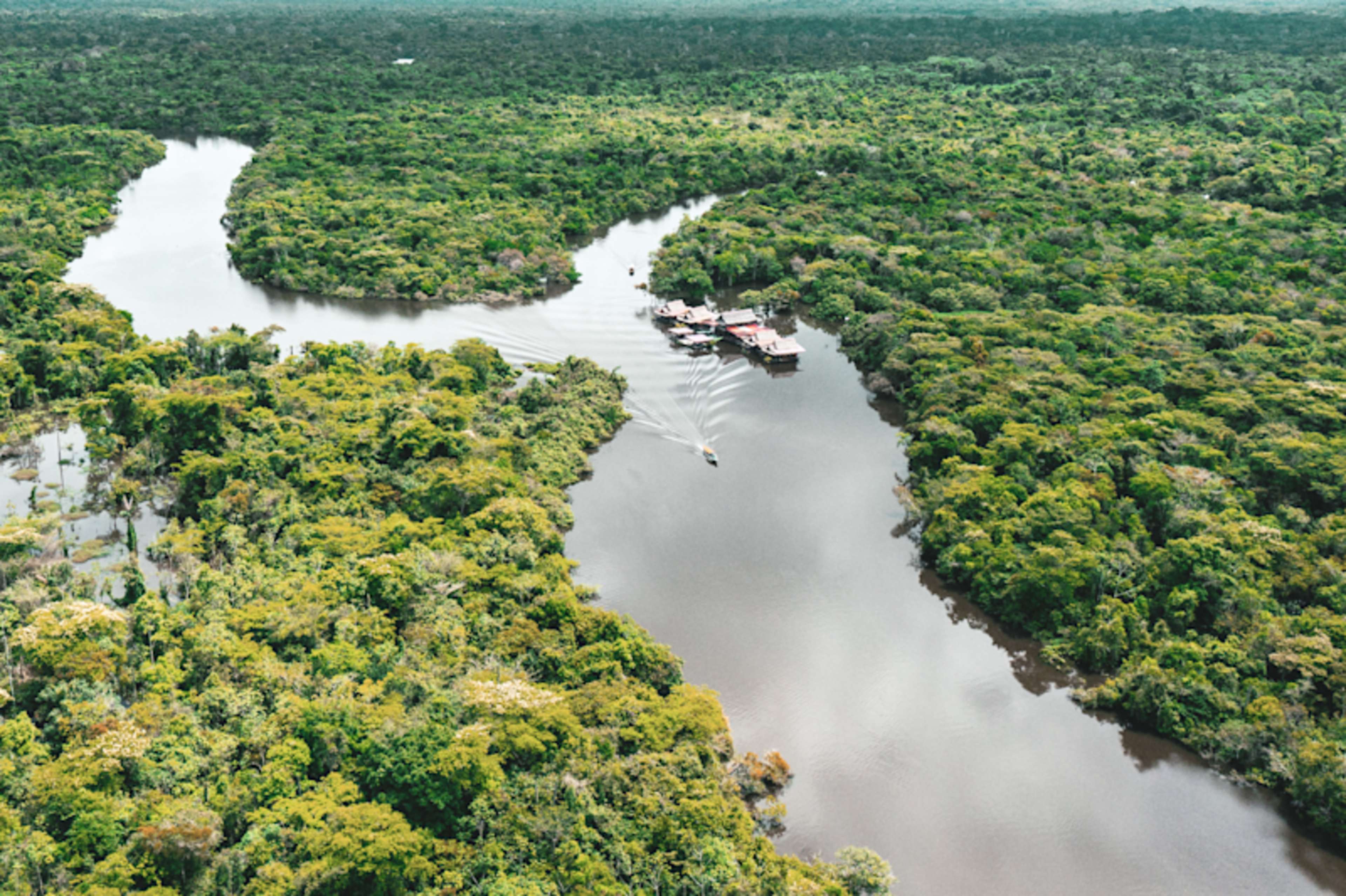 Amazon Lodge & Machu Picchu Highlights