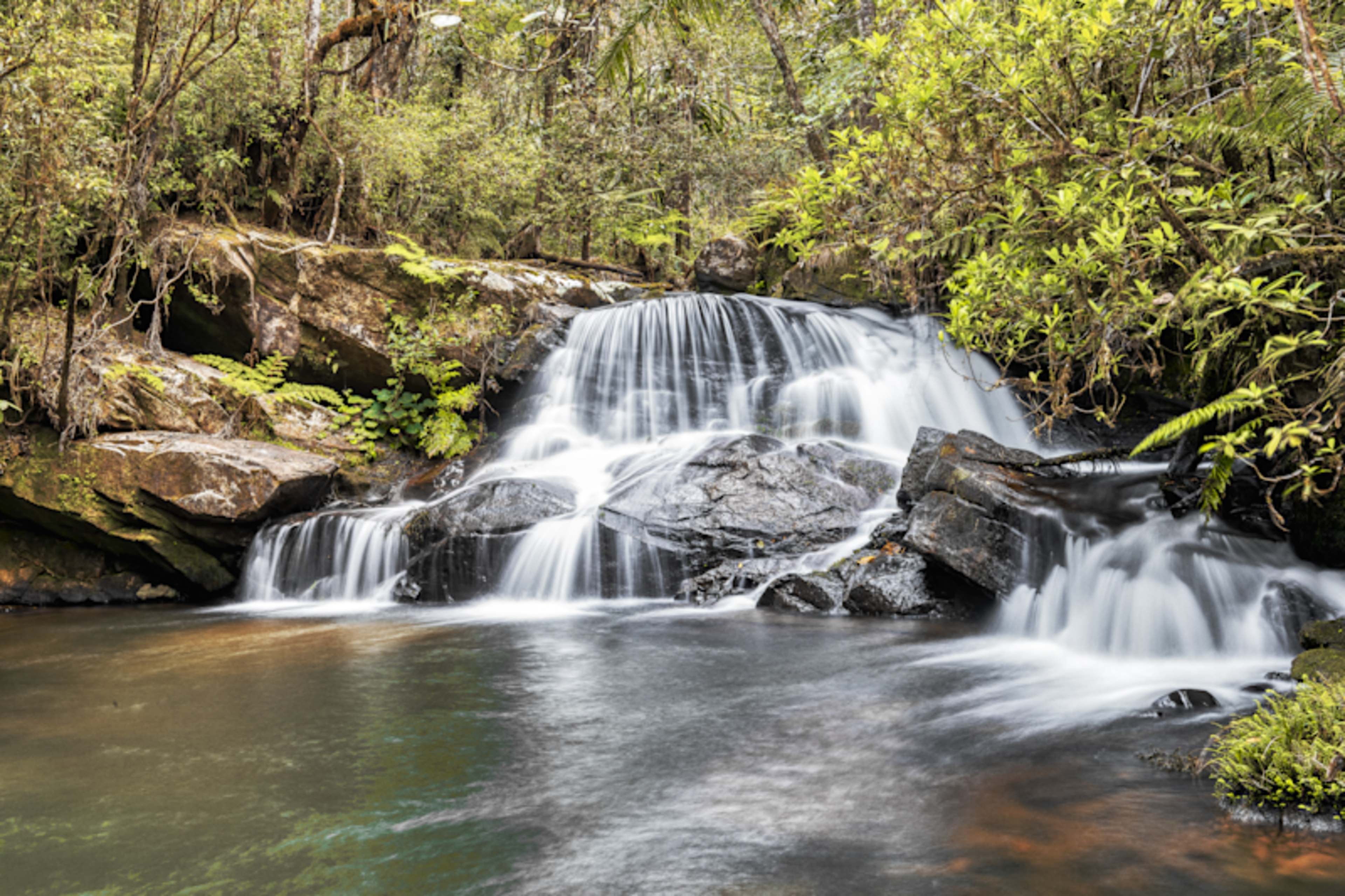 Rainforests of Madagascar Masoala & Andasibe National Park