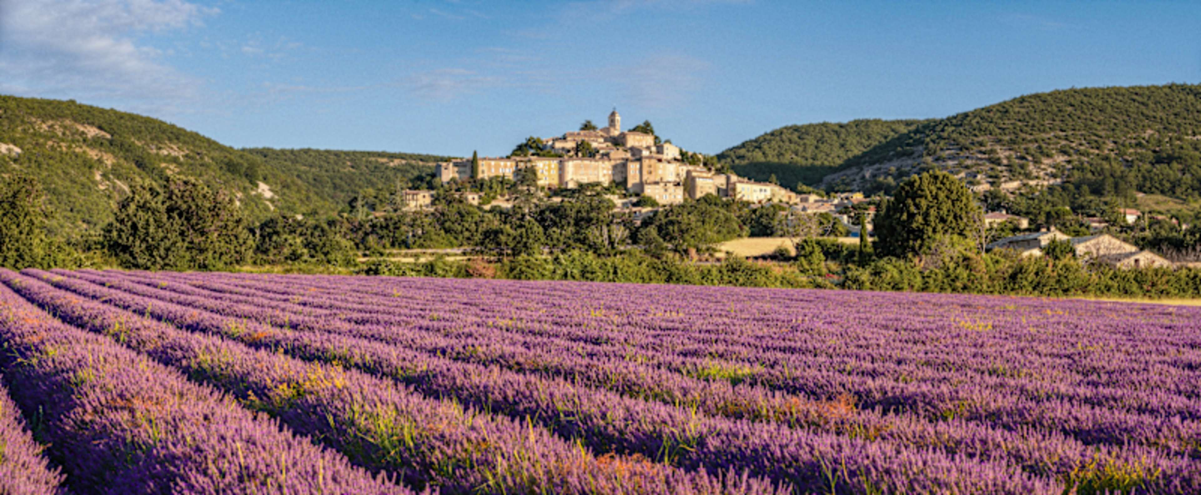 The Essence of Provence