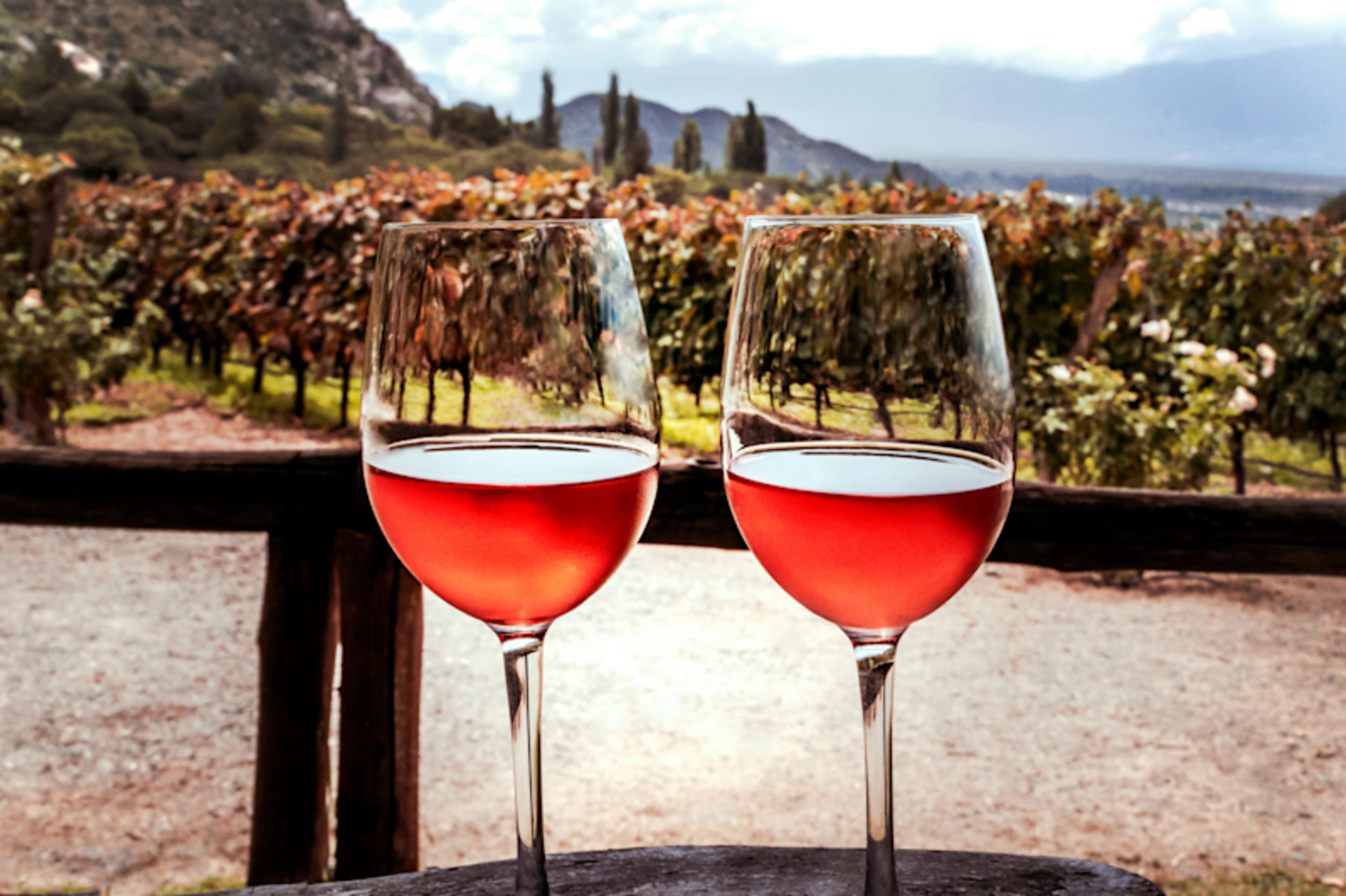 Buenos Aires & Mendoza: Gastronomy & Wine
