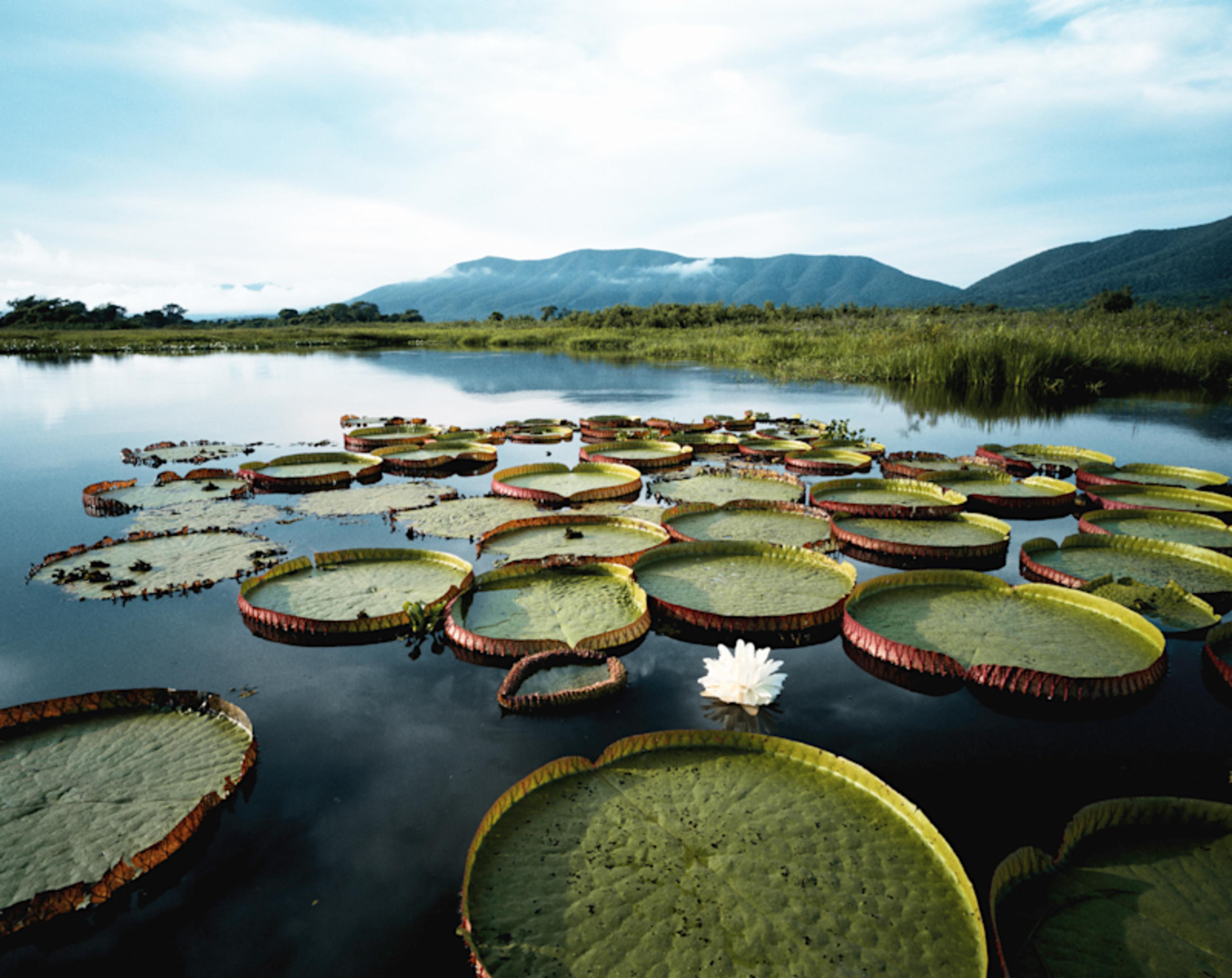 Brazil's Natural Wonders 