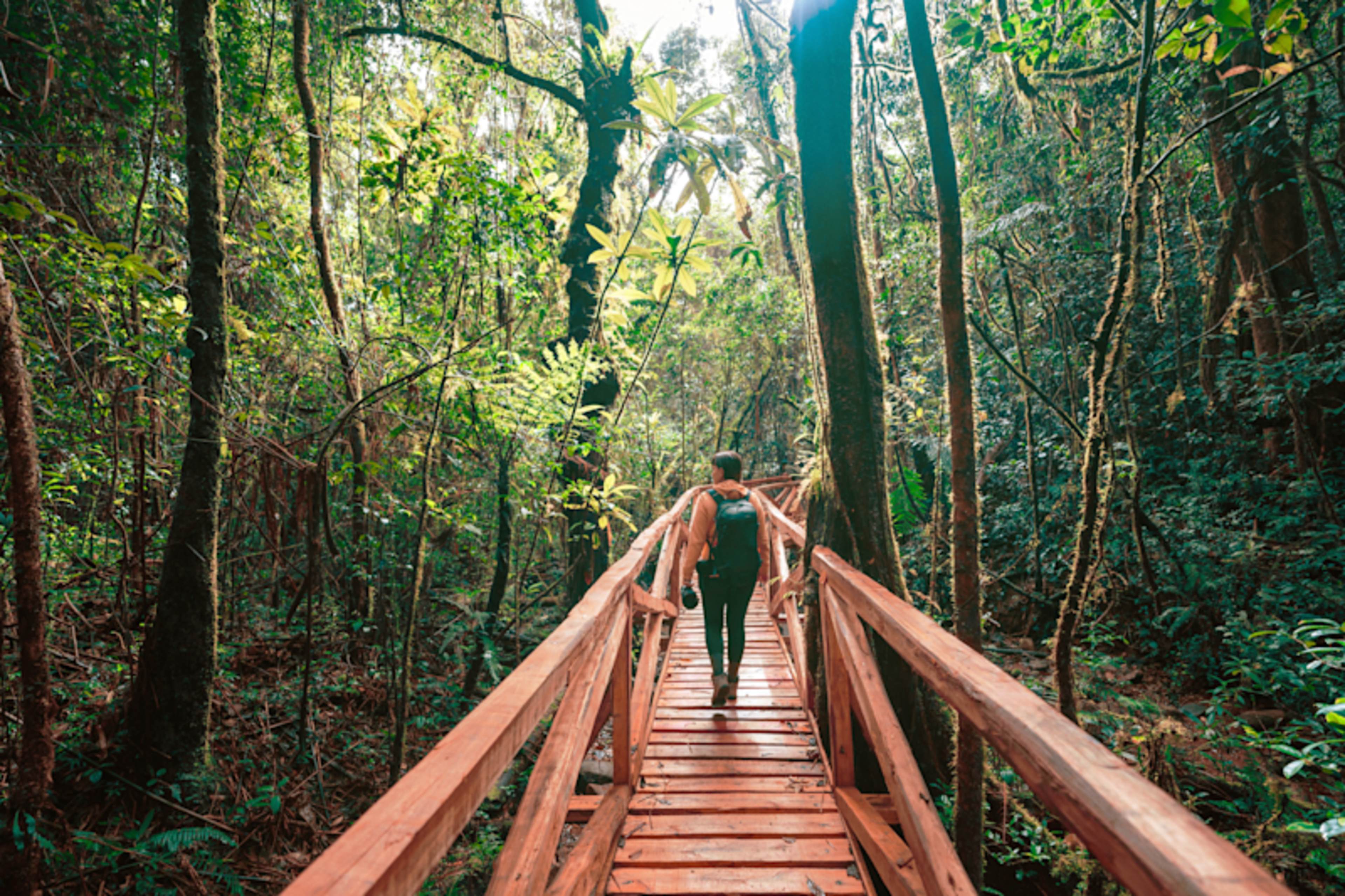 Madagascar Highlights