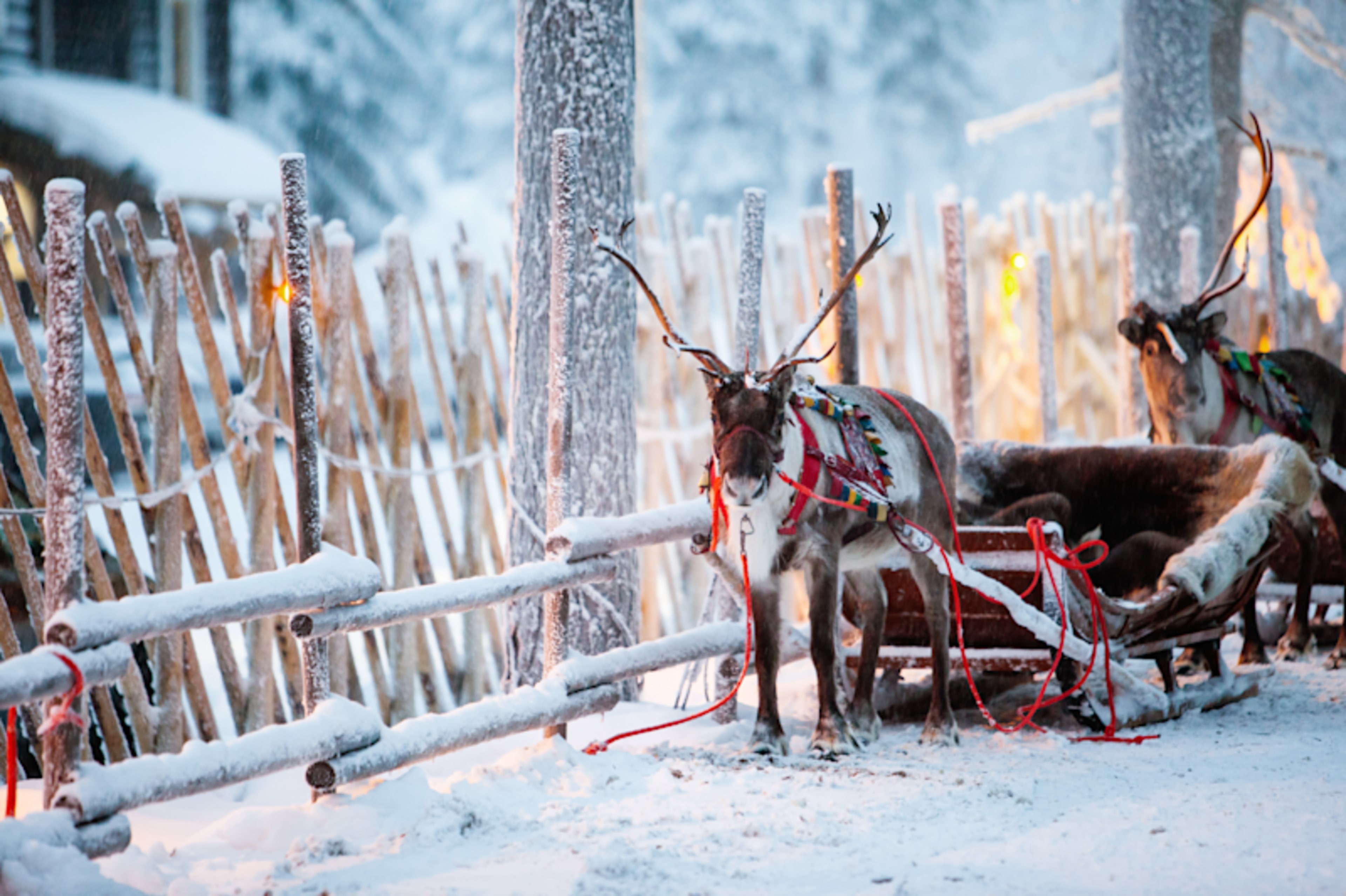 Finland Winter Family Fun