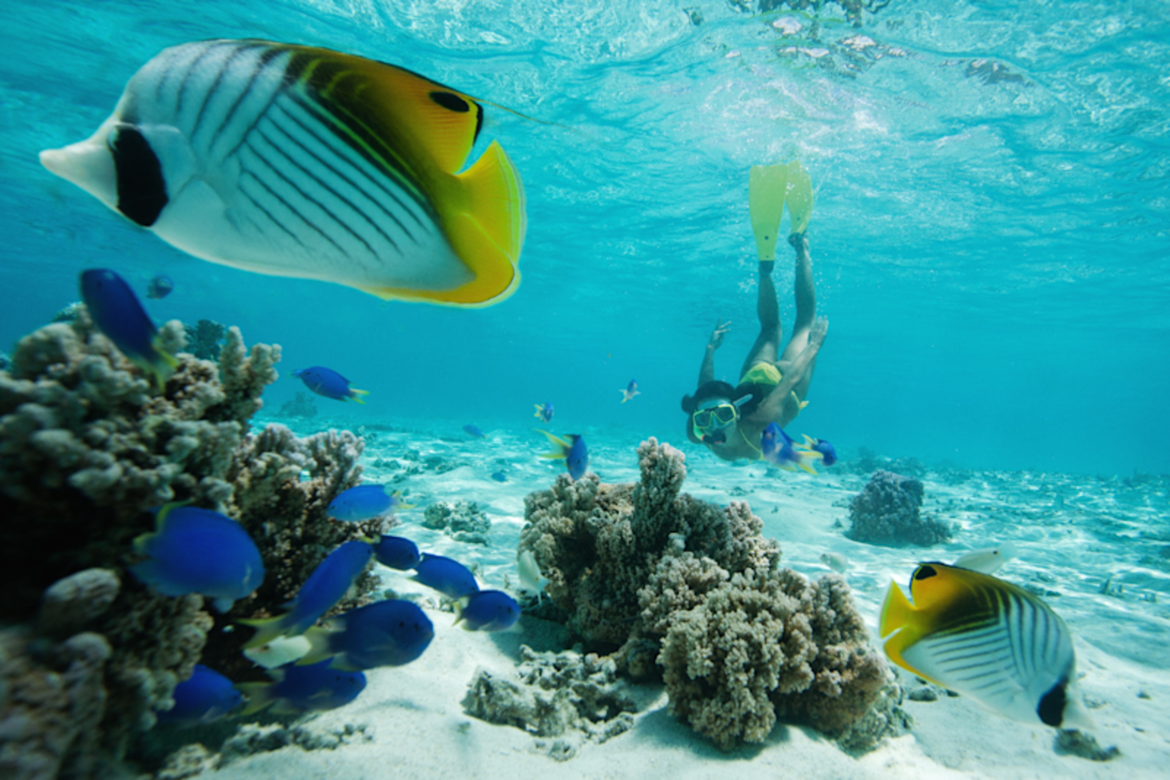 Paradise Revealed: Tahiti & Bora Bora by Cruise