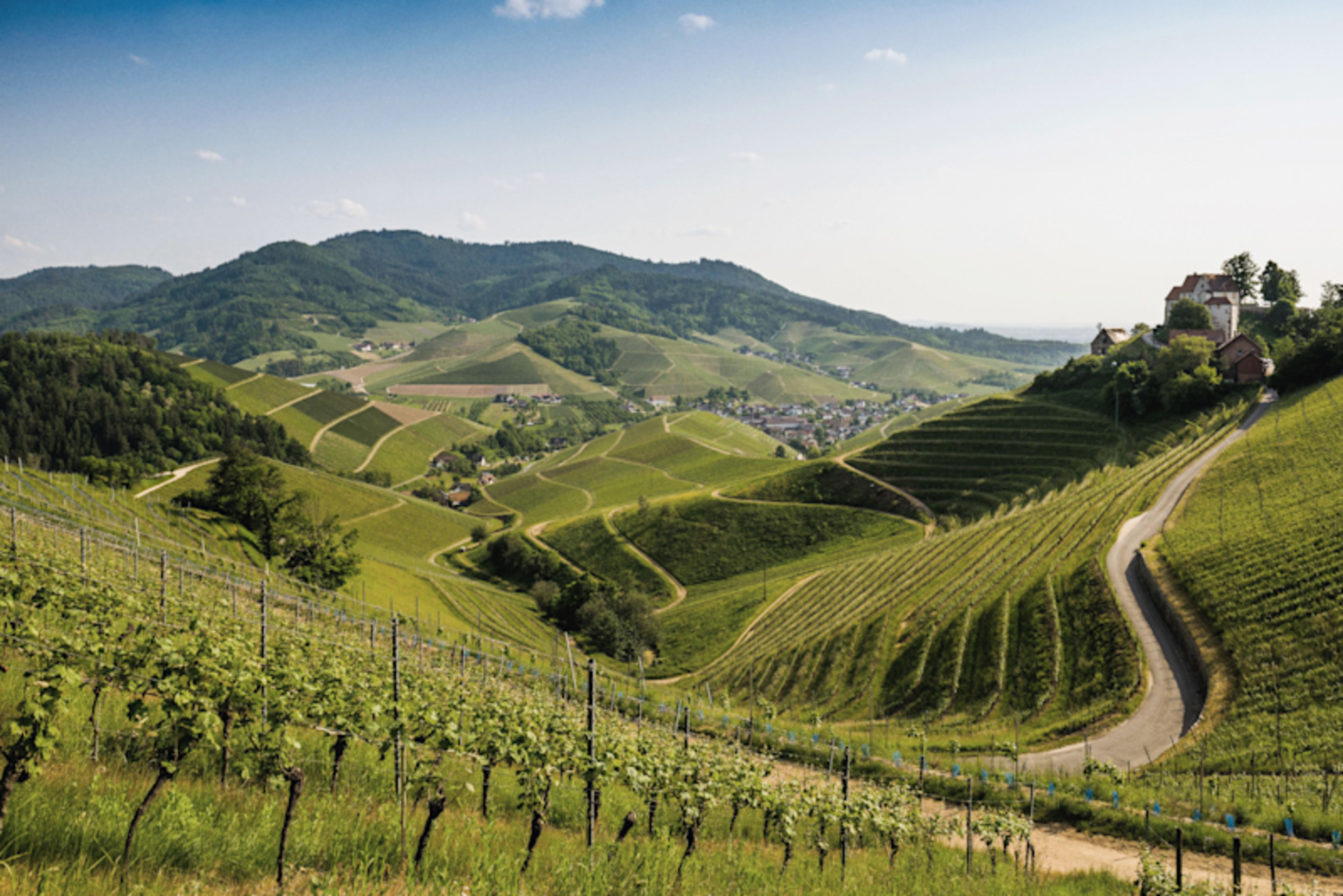 Berlin, Bavaria & Black Forest