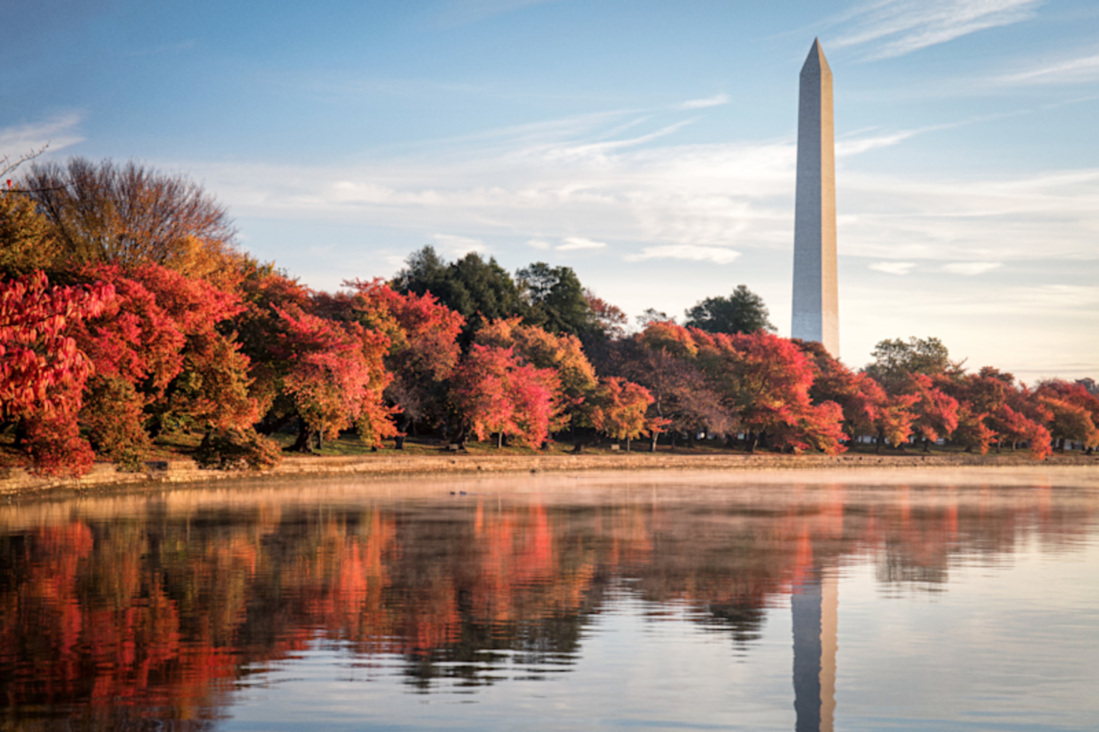 Discover New York City & Washington D.C. In Luxury 