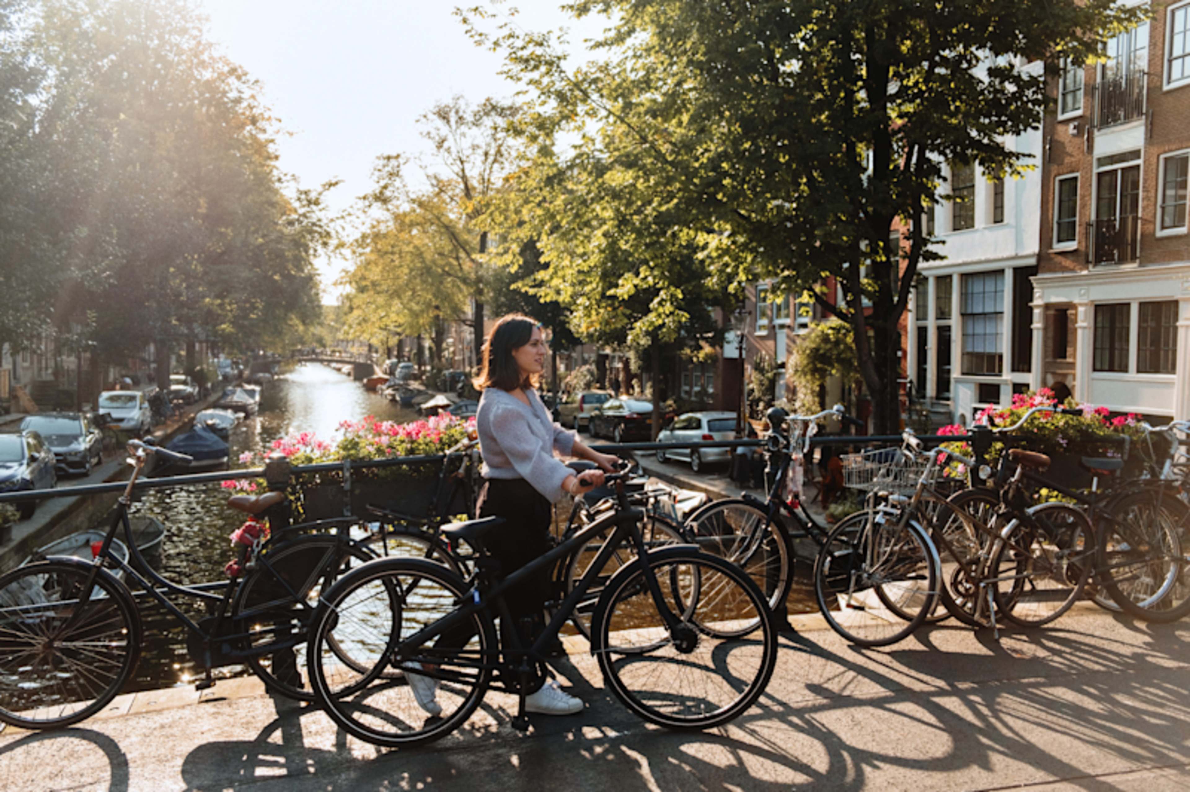 Amsterdam Spotlight