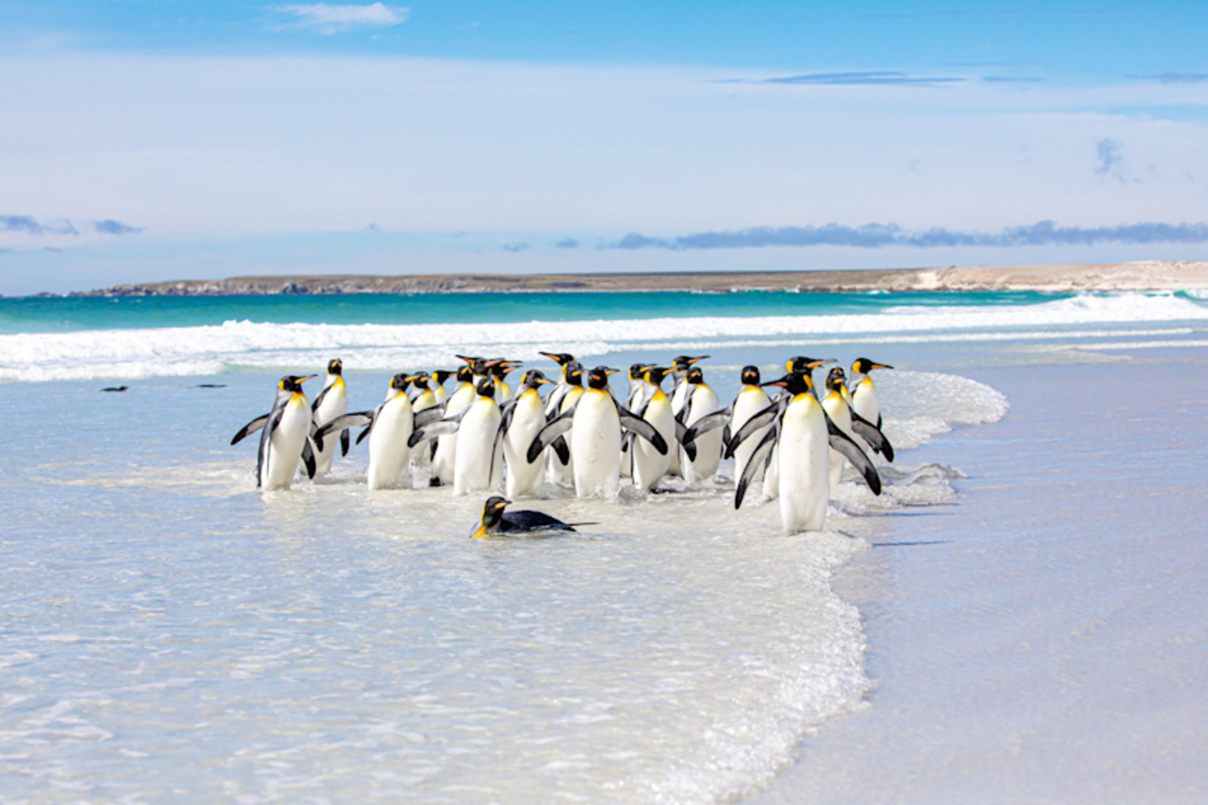 Argentina & Patagonia: A Wild Discovery Cruise